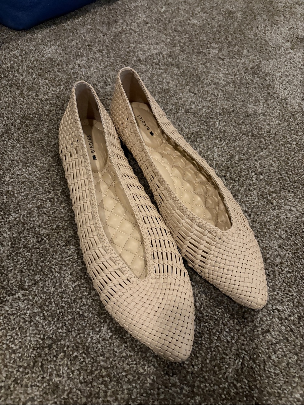 Birdies Woven Pointed-Toe Flats in Beige